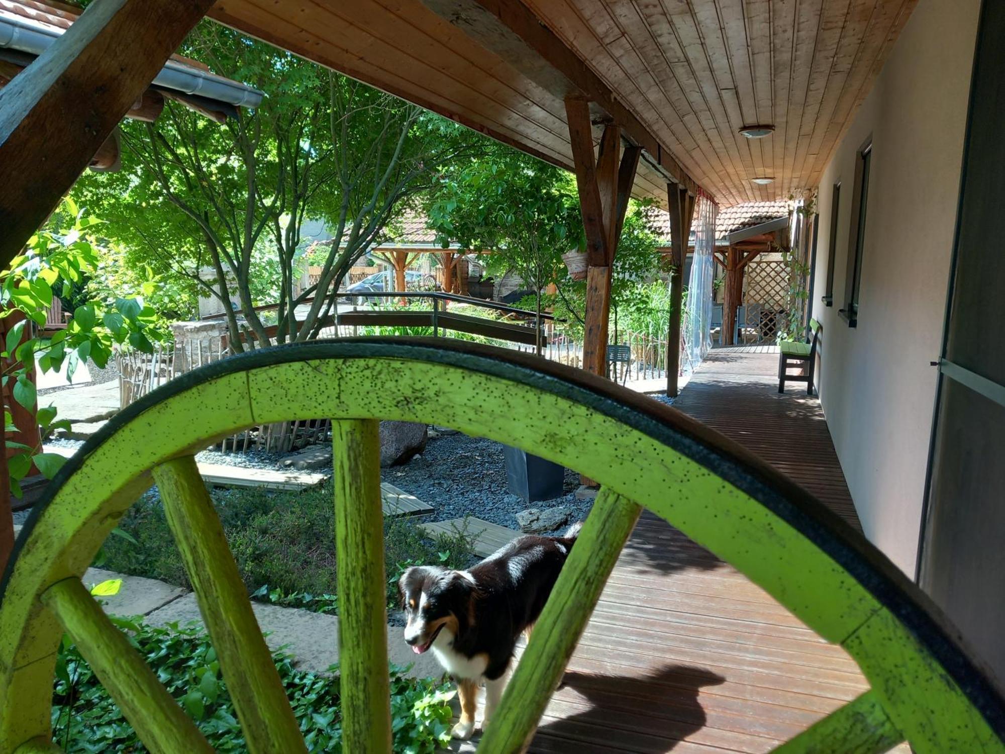Hagebuche Bed & Breakfast Brouviller Luaran gambar